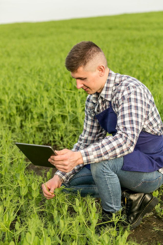 Website design - farmer crouching in a green crop field using a tablet