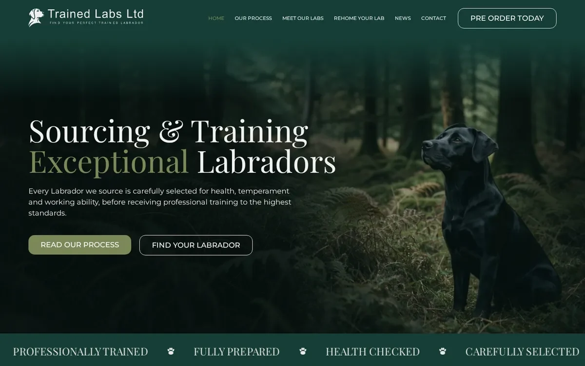 Trained Labs website designed by InfaCloud