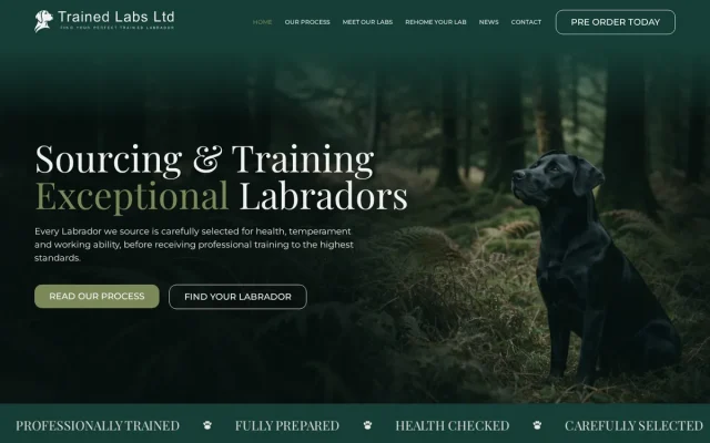 Trained Labs website designed by InfaCloud